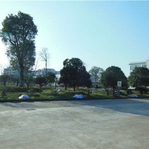 廠(chǎng)區(qū)一角5